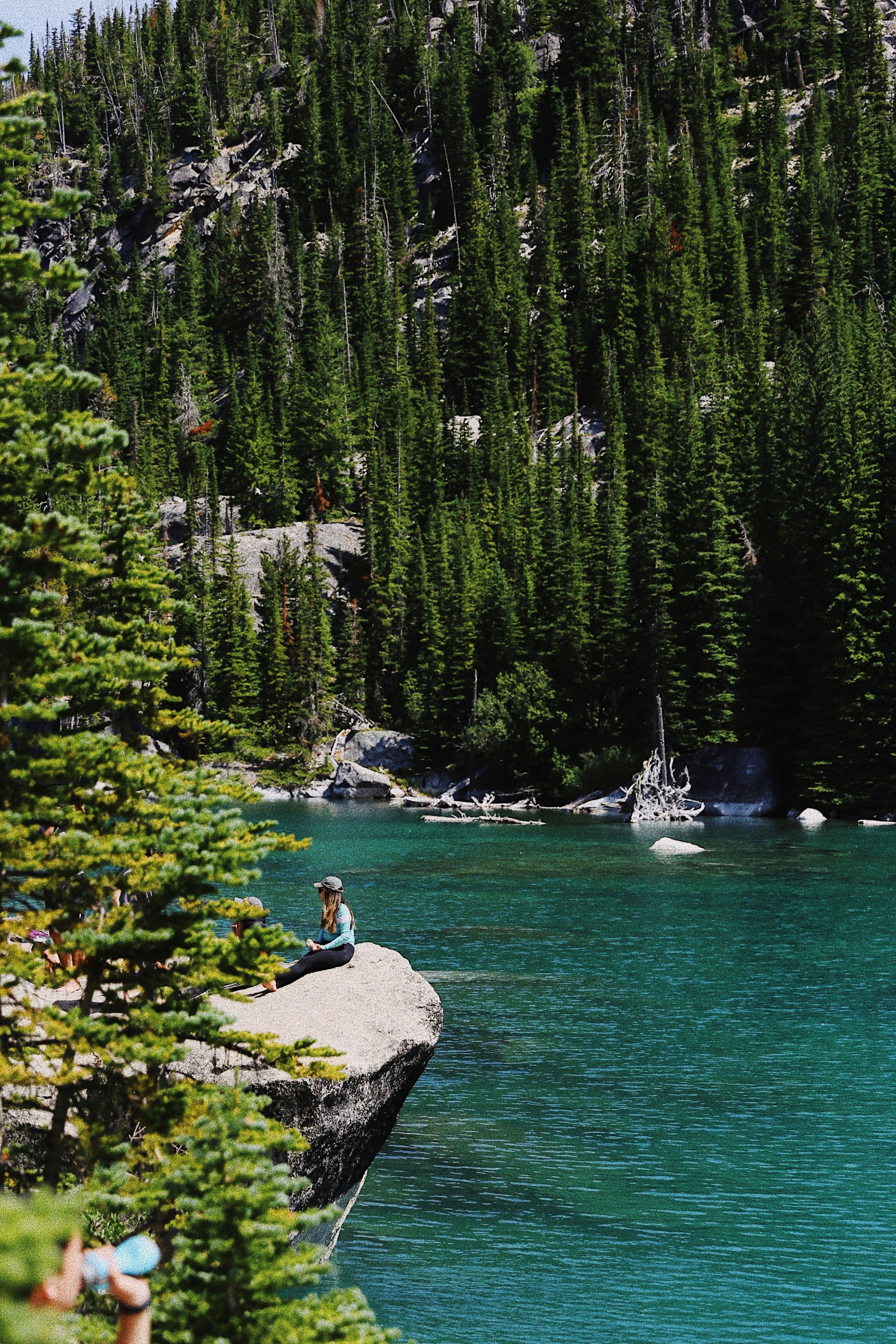 white boat on body of water near green pine trees during daytime